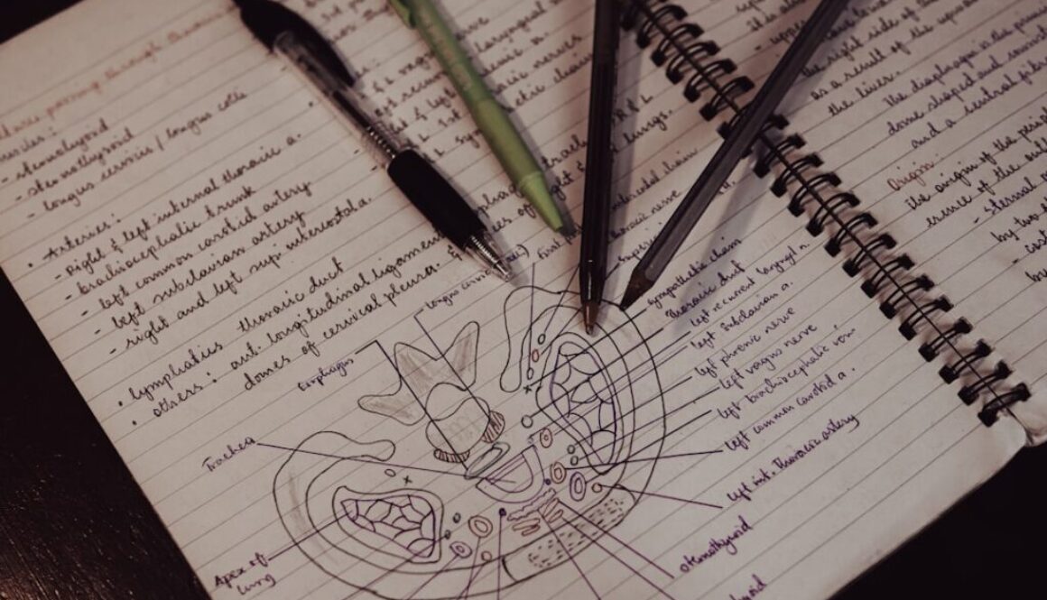 Jakie są przyczyny wysokiego żelaza we krwi - skutki i diagnostyka